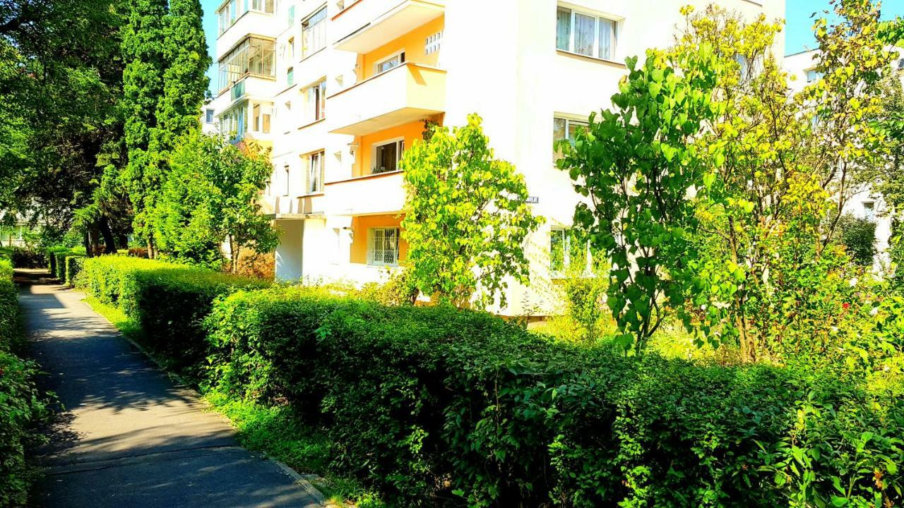 Luxury Paul Apartment Green, Private & Accessible Brasov Luaran gambar